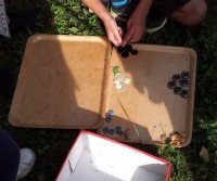 /album/bildgalleri/sortera-jpg/